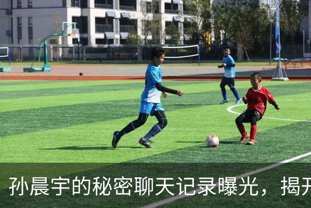 孙晨宇的秘密聊天记录曝光，揭开奢华人设背后的真相