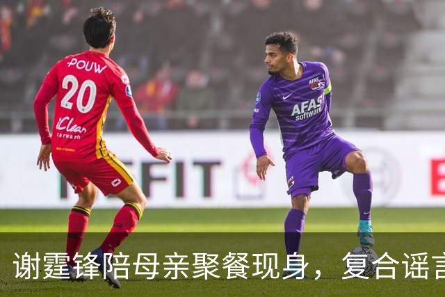 谢霆锋陪母亲聚餐现身，复合谣言终结，展现生活的无奈与坚持